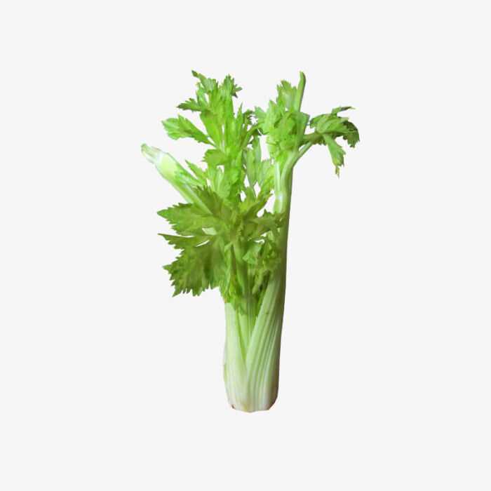 Petiolate Celery (Demo)